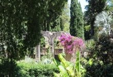 Jardin des Plantes Montpellier